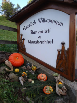Benvenuti al Moosbachhof