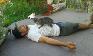 gatti da coccolare sulla fattoria