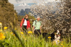 primavera sul Renon -bellissime passegiate