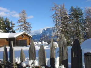 inverno sul Renon Alto Adige Bolzano