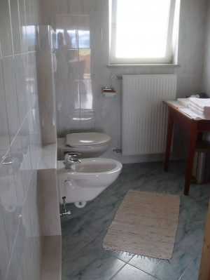 bagno con doccia, bidet, WC e finestra