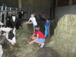 Bambini nella stalla