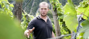 La guida nel vigneto