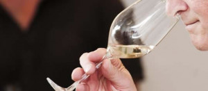 La degustazione dei vini