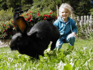 ...da kommt Freude auf