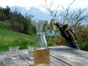 Vacanze escursionistiche sul Renon