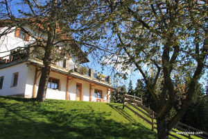 Appartamento sciliar con giardino