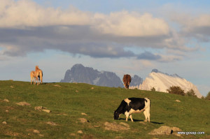 sulla malga del Renon