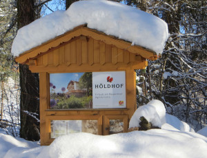 zum Höldhof (Winter)