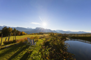 vista dal nostro giardino