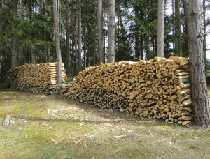 Brennholz für Winter