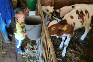 Avventura in stalla: Natura da scoprire per i piccoli esploratori!